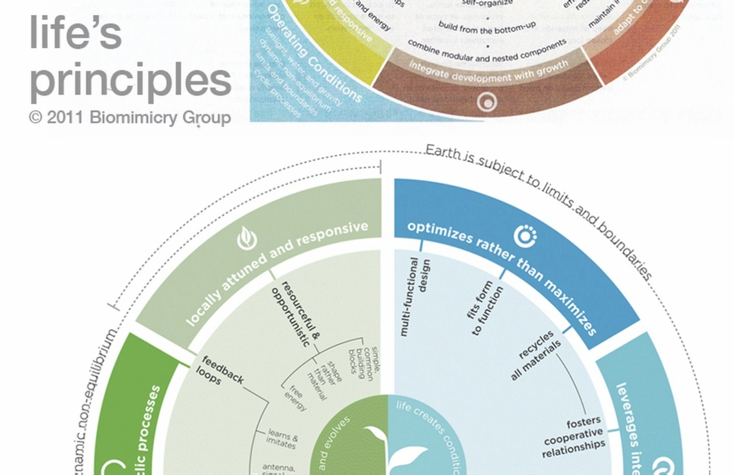 Life resource optimization process