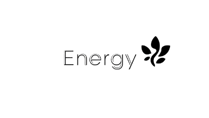 Energy Coaching Logo